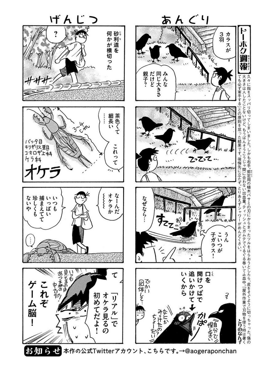 とりぱん - 第882話 - Page 2