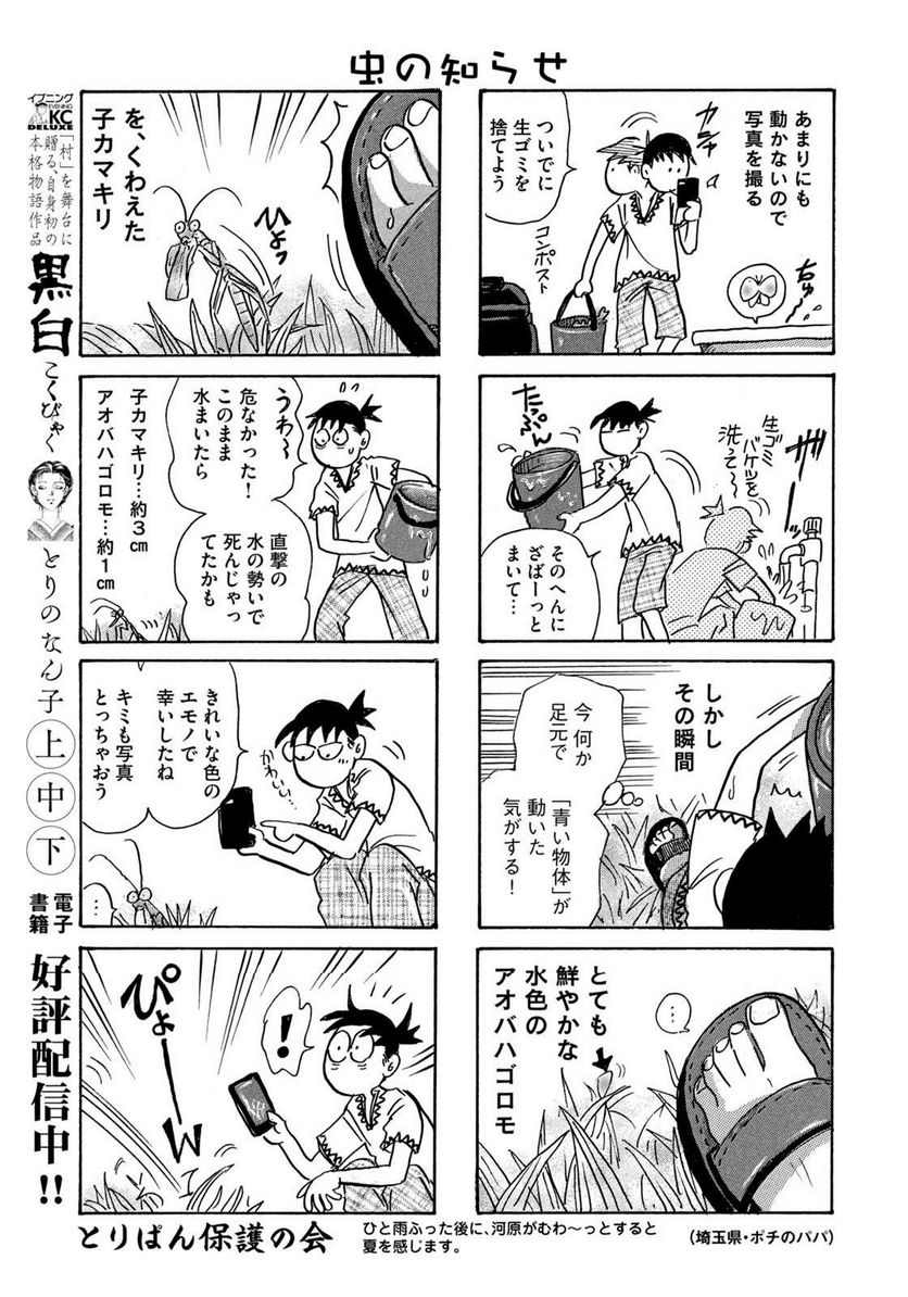 とりぱん - 第883話 - Page 3