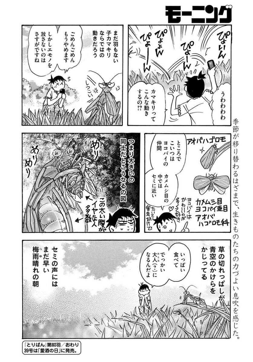 とりぱん - 第883話 - Page 4