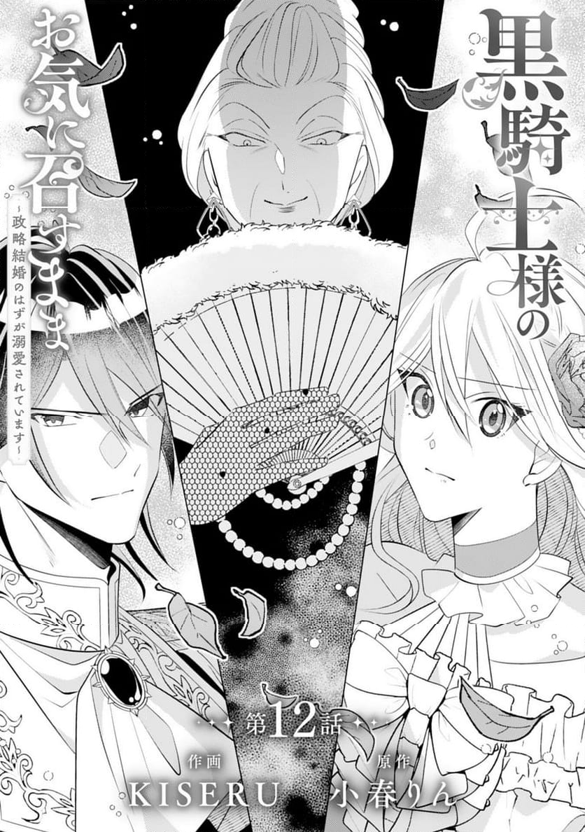 黒騎士様のお気に召すまま～政略結婚のはずが溺愛されています～ - 第12話 - Page 1