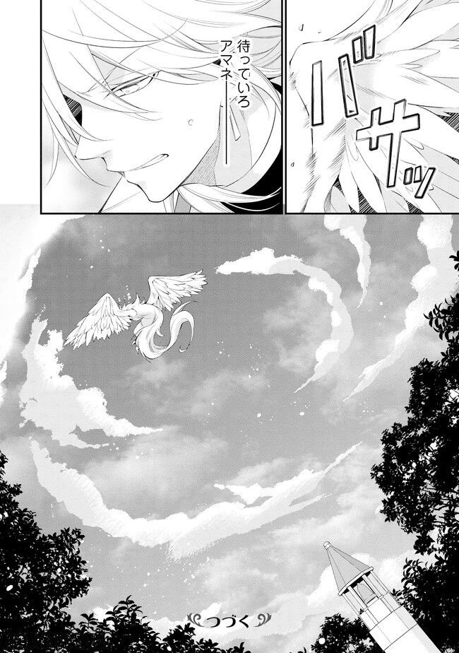 異世界逃亡の相棒は恋を知らない王子様 第11.2話 - Trang 16
