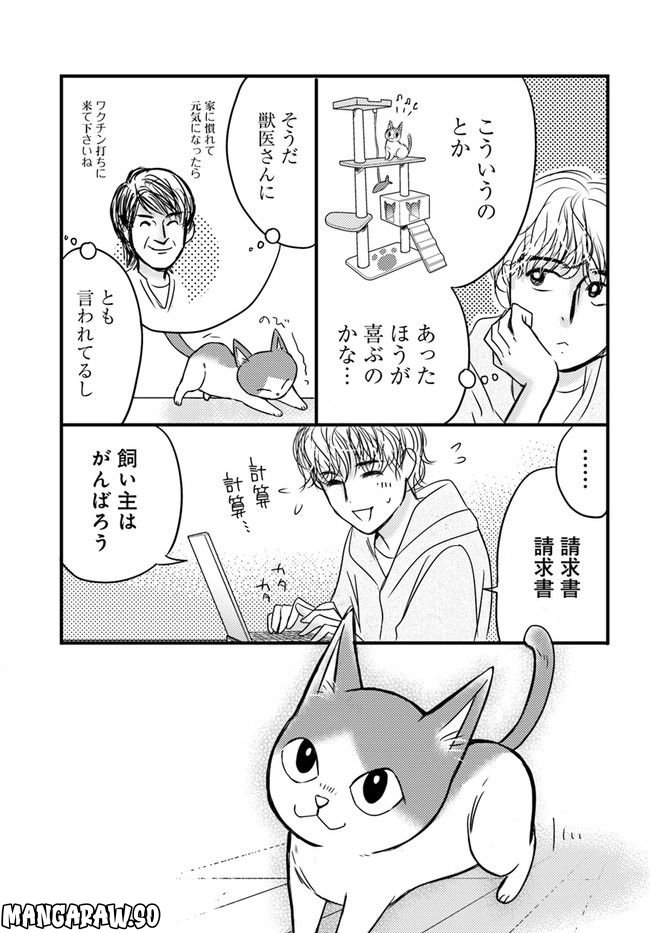 彼とねこが待っている。 第1.4話 - Trang 5