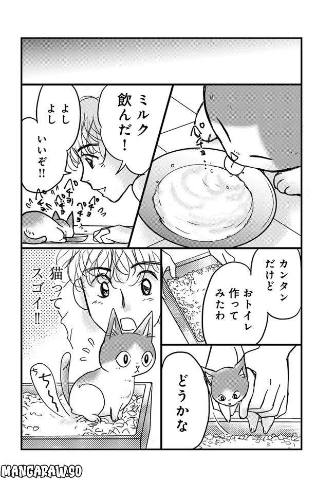 彼とねこが待っている。 第2.2話 - Trang 2