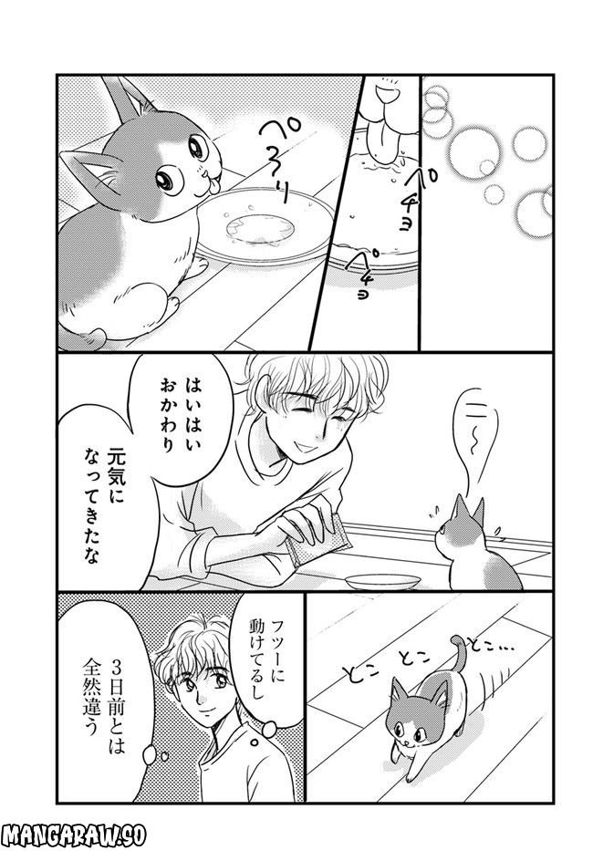 彼とねこが待っている。 第2.3話 - Trang 1