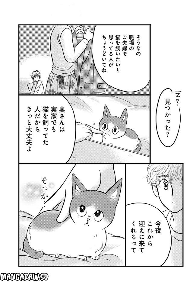 彼とねこが待っている。 第2.3話 - Trang 3