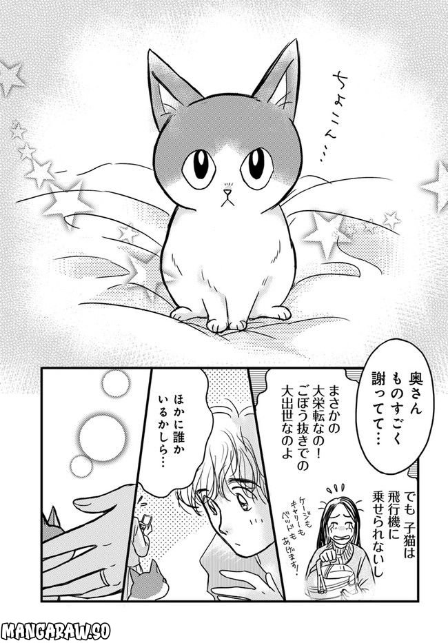 彼とねこが待っている。 第2.4話 - Trang 3
