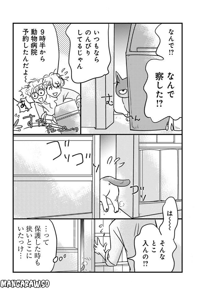 彼とねこが待っている。 第3.1話 - Trang 4
