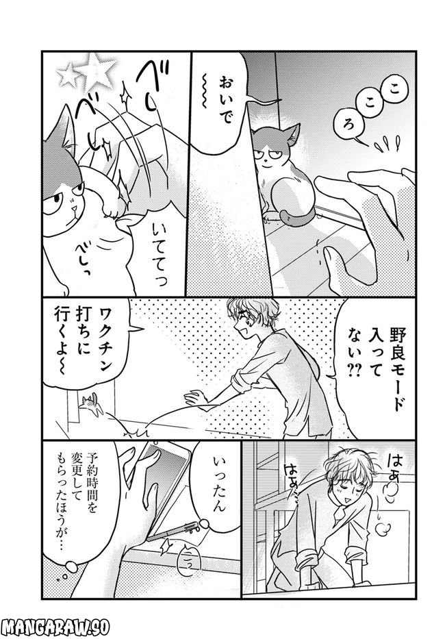彼とねこが待っている。 第3.1話 - Trang 5