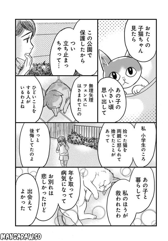 彼とねこが待っている。 第3.3話 - Trang 5