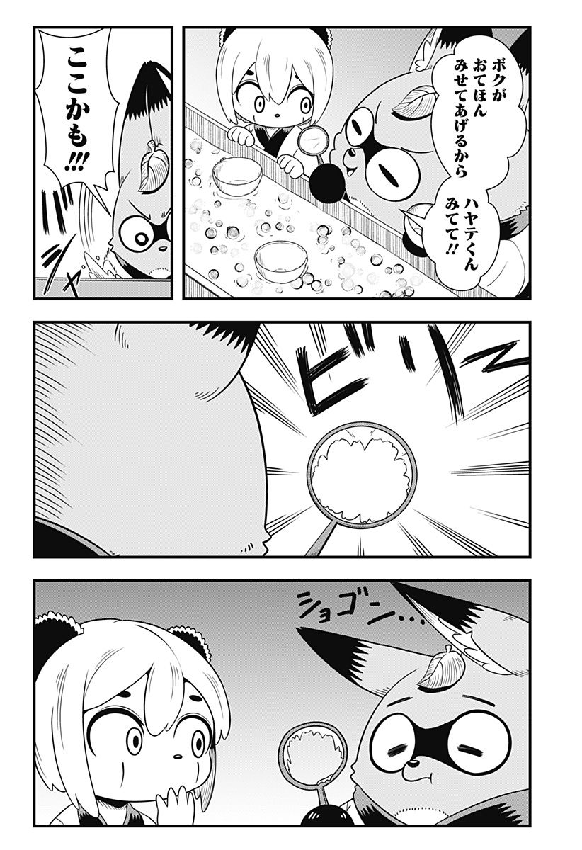 タヌキツネのゴン - 第51話 - Page 6