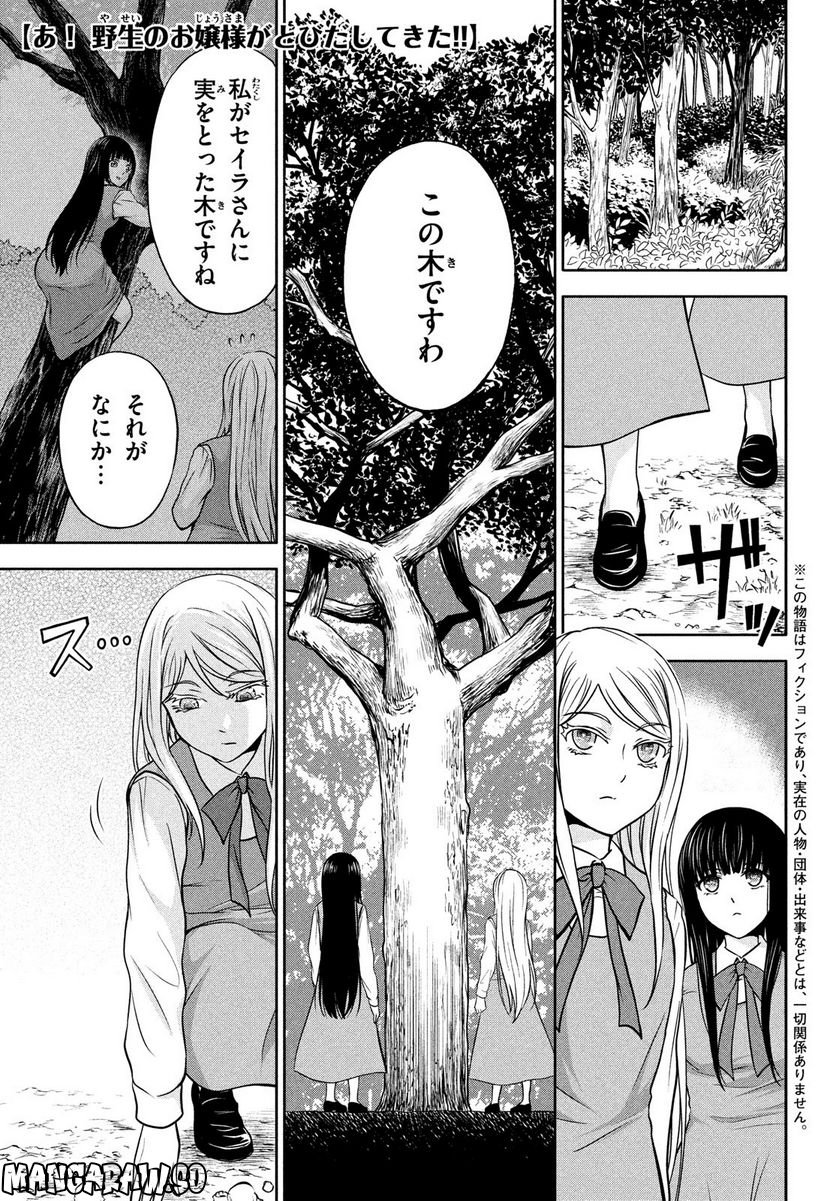 あ！ 野生のお嬢様がとびだしてきた!! - 第7話 - Page 1