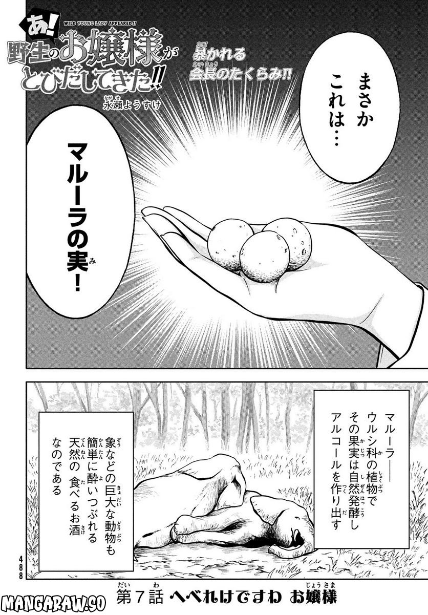 あ！ 野生のお嬢様がとびだしてきた!! - 第7話 - Page 2