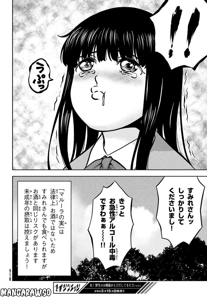 あ！ 野生のお嬢様がとびだしてきた!! - 第7話 - Page 24