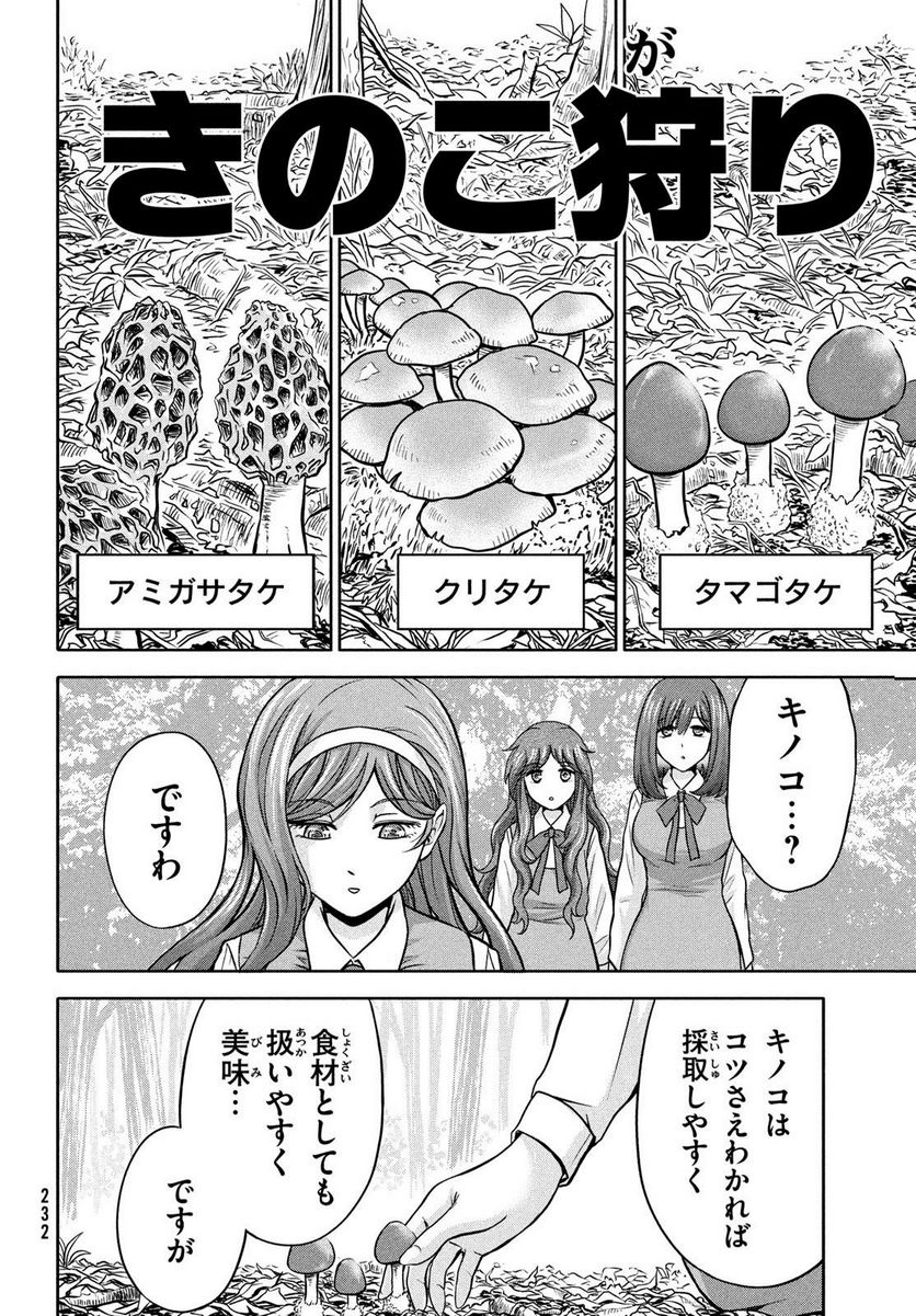 あ！ 野生のお嬢様がとびだしてきた!! - 第11話 - Page 4