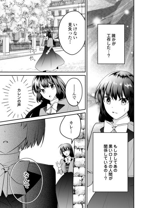 悪役令嬢に転生するも魔法に夢中でいたら王子に溺愛されました 第8.5話 - Trang 8