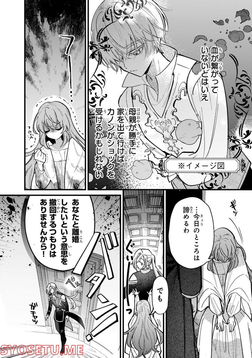 転生先が気弱すぎる伯爵夫人だった～前世最強魔女は快適生活を送りたい～ 第4話 - Trang 12