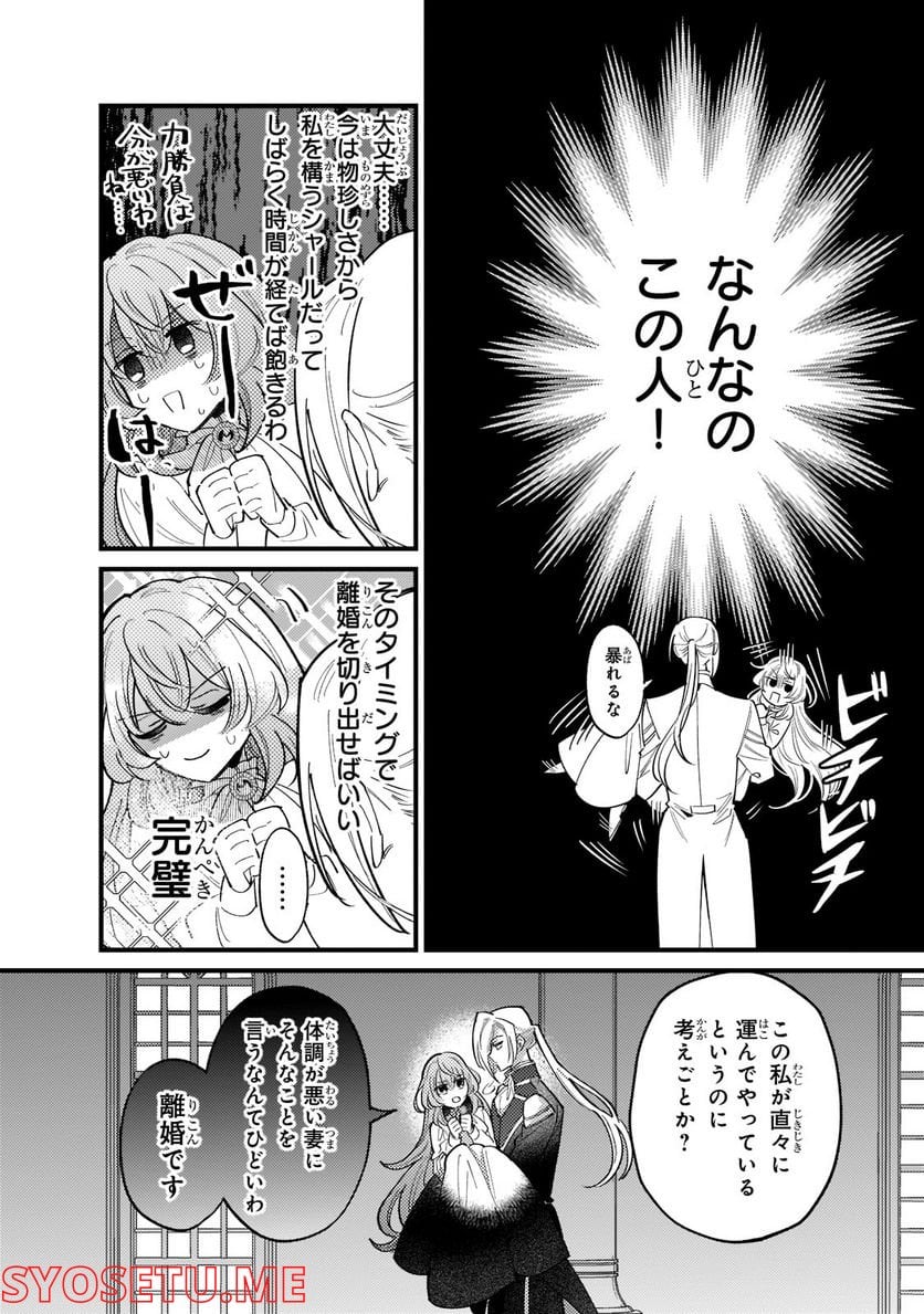 転生先が気弱すぎる伯爵夫人だった～前世最強魔女は快適生活を送りたい～ 第5話 - Trang 16