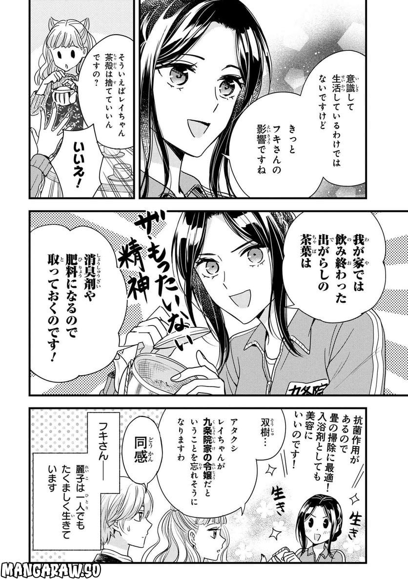 麗子の風儀 悪役令嬢と呼ばれていますが、ただの貧乏娘です 第18.5話 - Trang 4