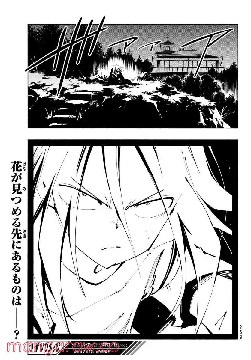 ＳＨＡＭＡＮ　ＫＩＮＧ　ＴＨＥ　ＳＵＰＥＲ　ＳＴＡＲ - 第38話 - Page 29