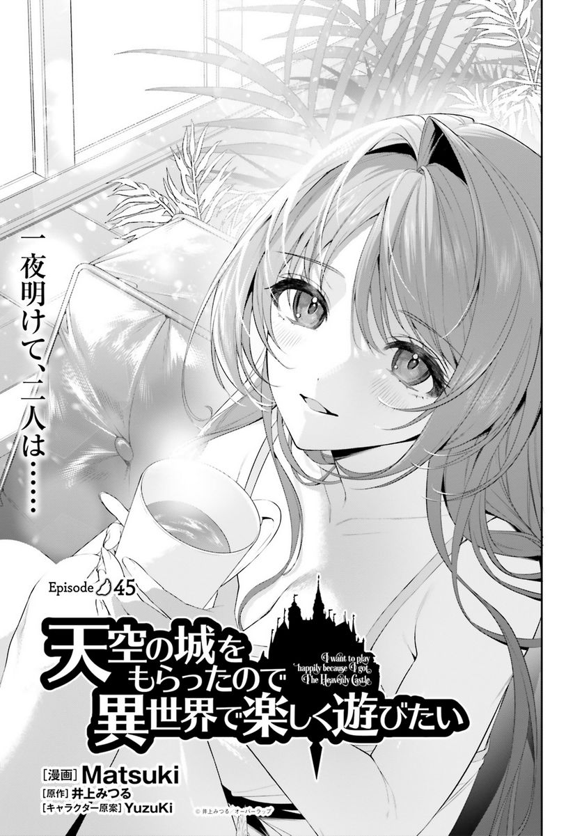 天空の城をもらったので異世界で楽しく遊びたい - 第45話 - Page 1