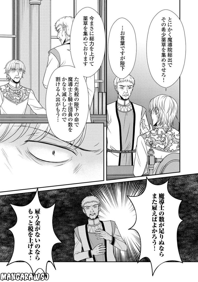 精霊守りの薬士令嬢は、婚約破棄を突きつけられたようです - 第13話 - Page 3