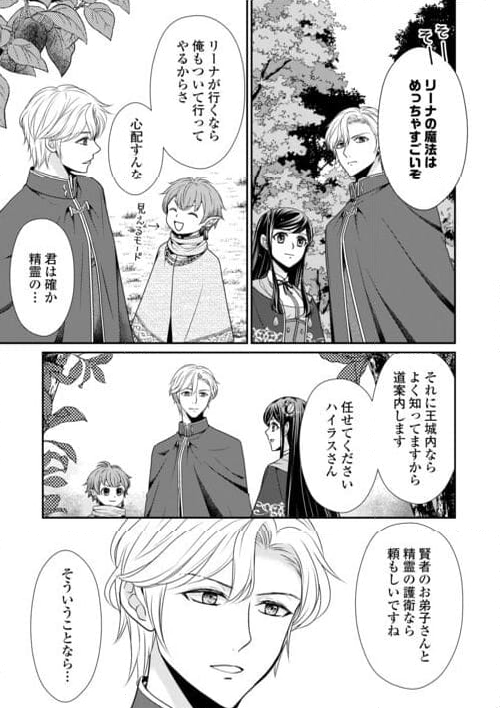 精霊守りの薬士令嬢は、婚約破棄を突きつけられたようです - 第19話 - Page 9