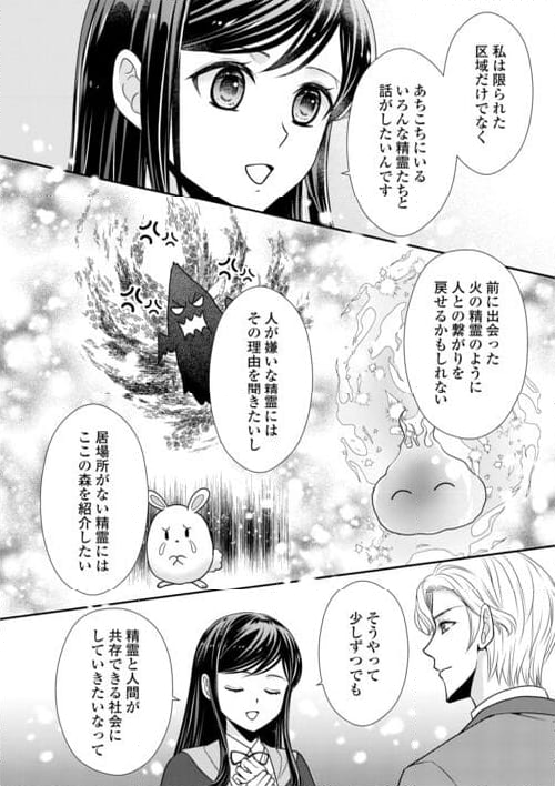 精霊守りの薬士令嬢は、婚約破棄を突きつけられたようです - 第21話 - Page 10