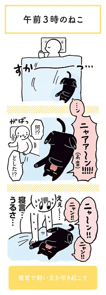 黒猫ろんと暮らしたら - 第21話 - Page 1