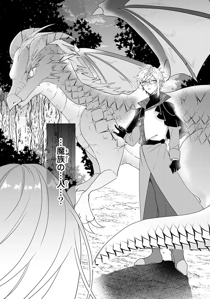 偽聖女だと生贄にされたら、魔王様に求婚されました～契約花嫁は精霊たちとスローライフを謳歌する～ 第1.5話 - Trang 8