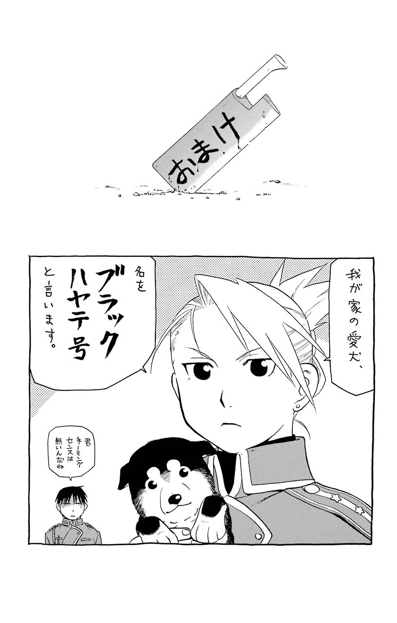 鋼の錬金術師 第16.5話 - Trang 11