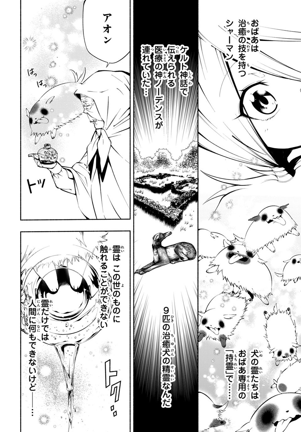 ＳＨＡＭＡＮ　ＫＩＮＧ　＆ａ　ｇａｒｄｅｎ 第6.2話 - Trang 4