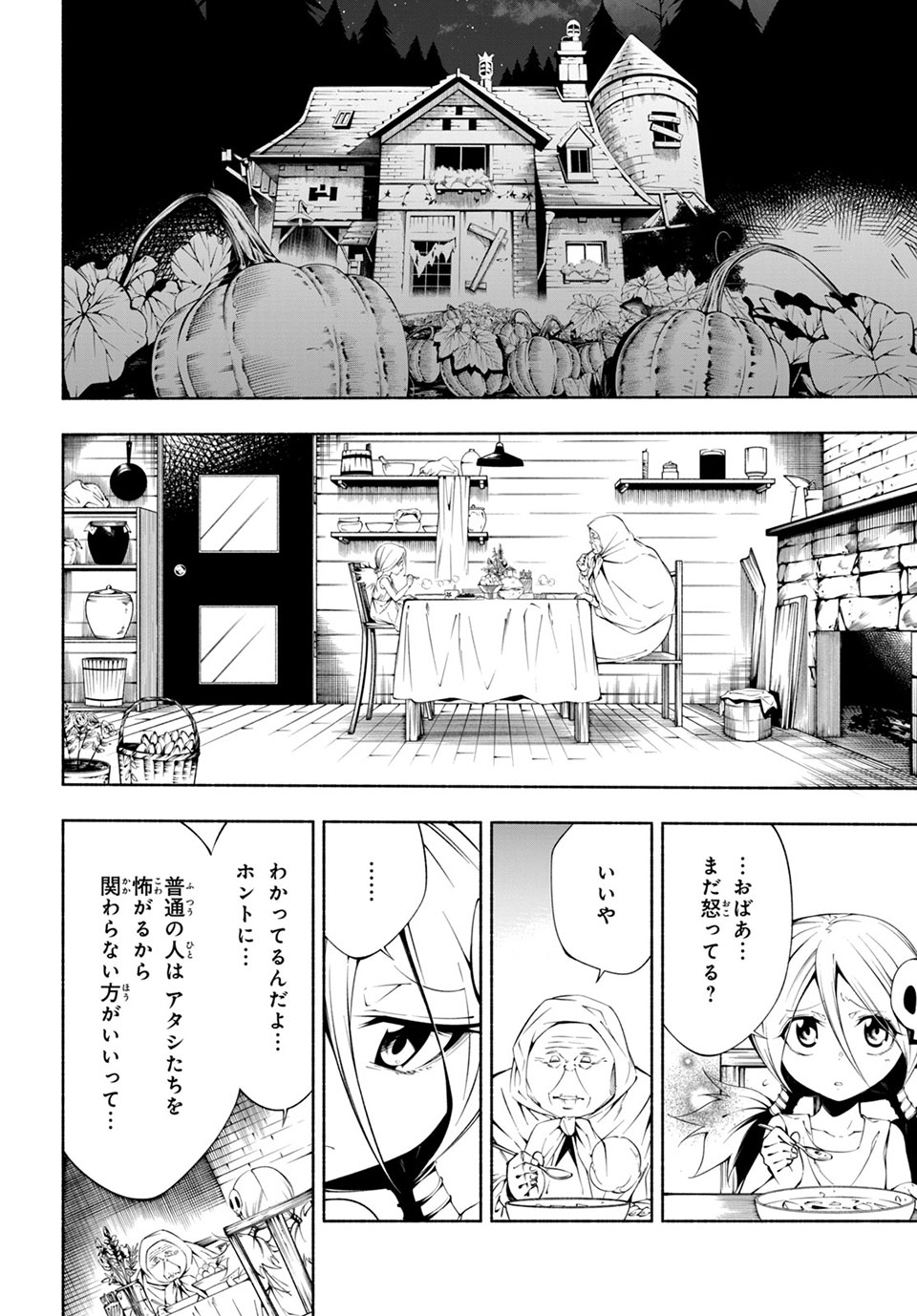 ＳＨＡＭＡＮ　ＫＩＮＧ　＆ａ　ｇａｒｄｅｎ 第6.3話 - Trang 3