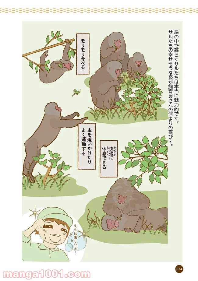 クマが肥満で悩んでます　動物園のヒミツ教えます - 第3話 - Page 7