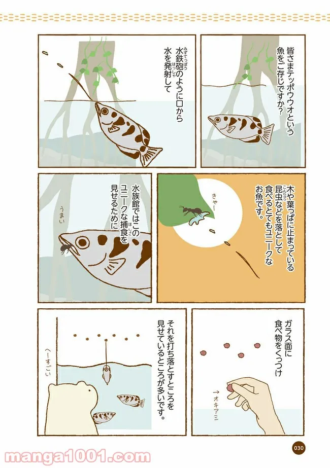 クマが肥満で悩んでます　動物園のヒミツ教えます - 第4話 - Page 3