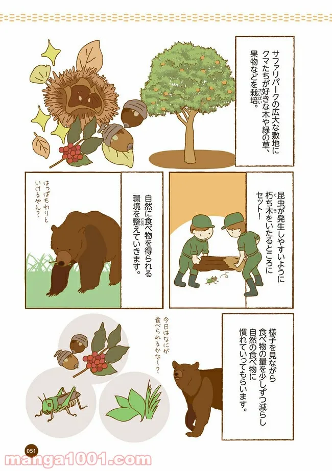 クマが肥満で悩んでます　動物園のヒミツ教えます - 第6話 - Page 4