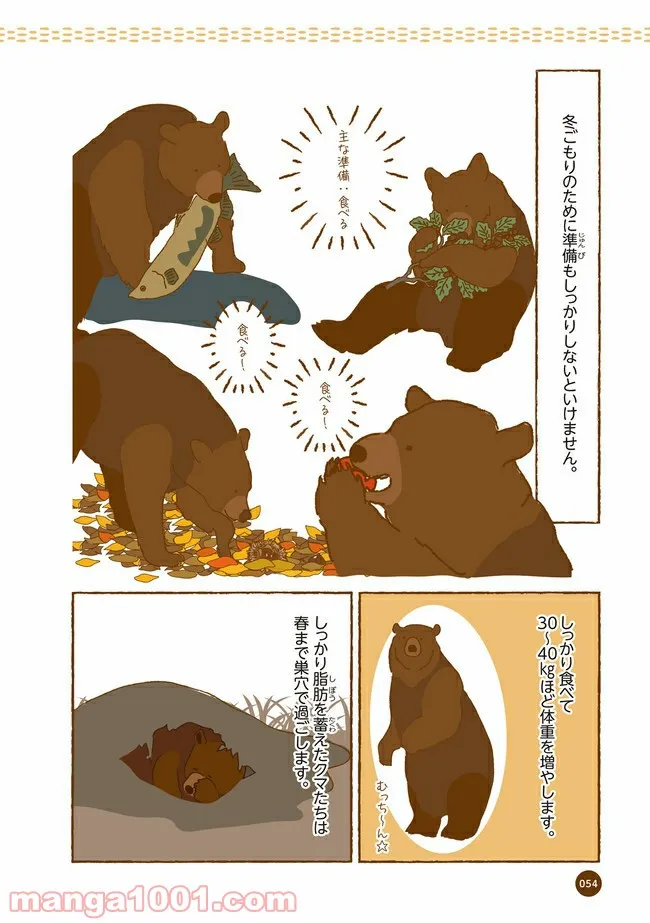 クマが肥満で悩んでます　動物園のヒミツ教えます - 第6話 - Page 7