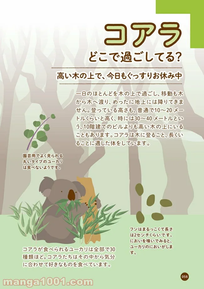 クマが肥満で悩んでます　動物園のヒミツ教えます - 第7話 - Page 1