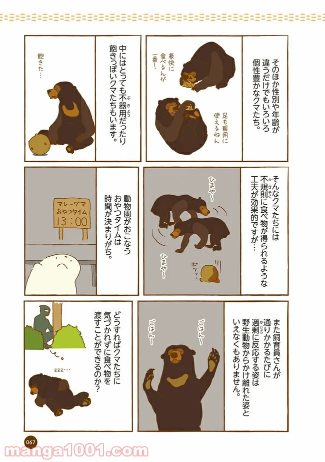 クマが肥満で悩んでます　動物園のヒミツ教えます 第8話 - Trang 4