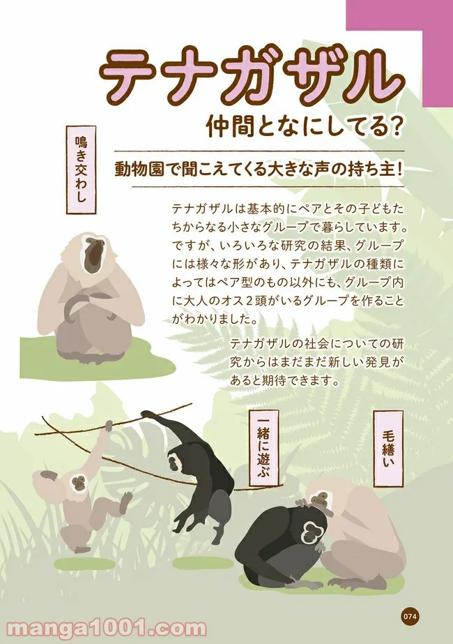クマが肥満で悩んでます　動物園のヒミツ教えます 第9話 - Trang 2
