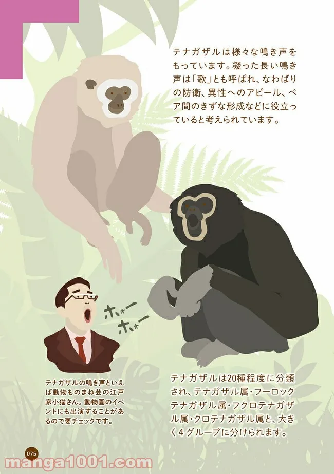 クマが肥満で悩んでます　動物園のヒミツ教えます 第9話 - Trang 3