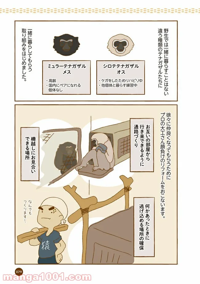 クマが肥満で悩んでます　動物園のヒミツ教えます 第9話 - Trang 7
