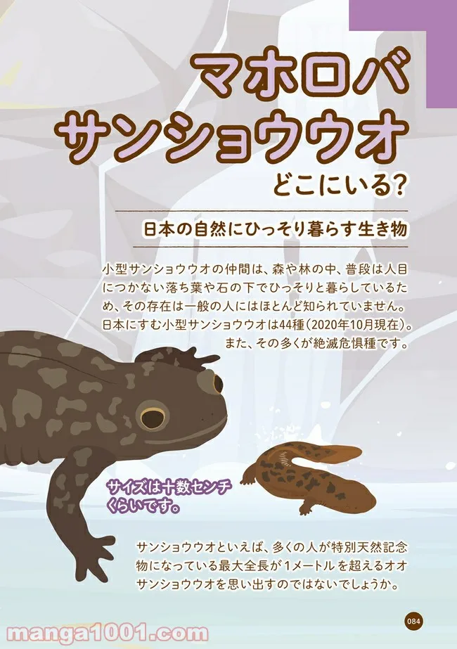 クマが肥満で悩んでます　動物園のヒミツ教えます 第10話 - Trang 1