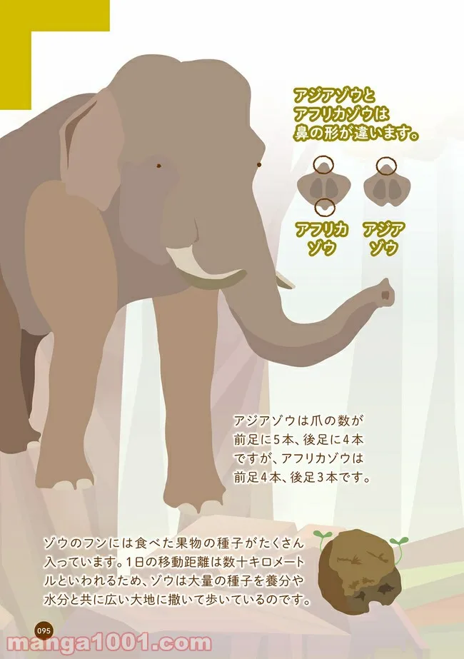 クマが肥満で悩んでます　動物園のヒミツ教えます - 第11話 - Page 2