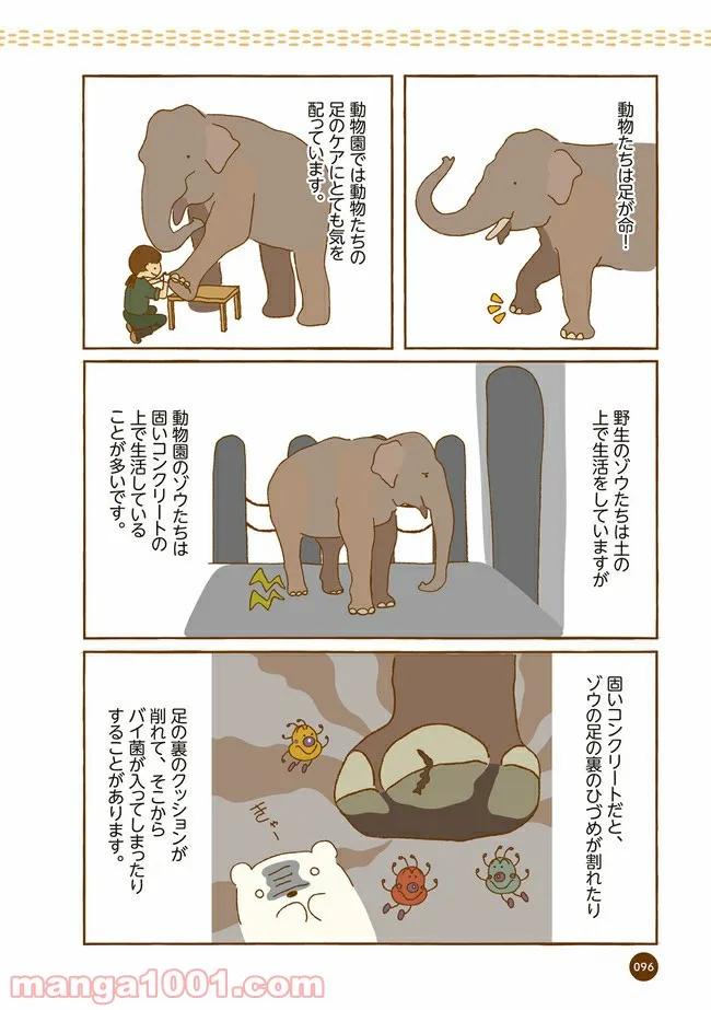 クマが肥満で悩んでます　動物園のヒミツ教えます - 第11話 - Page 3