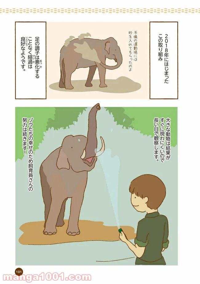 クマが肥満で悩んでます　動物園のヒミツ教えます - 第11話 - Page 8