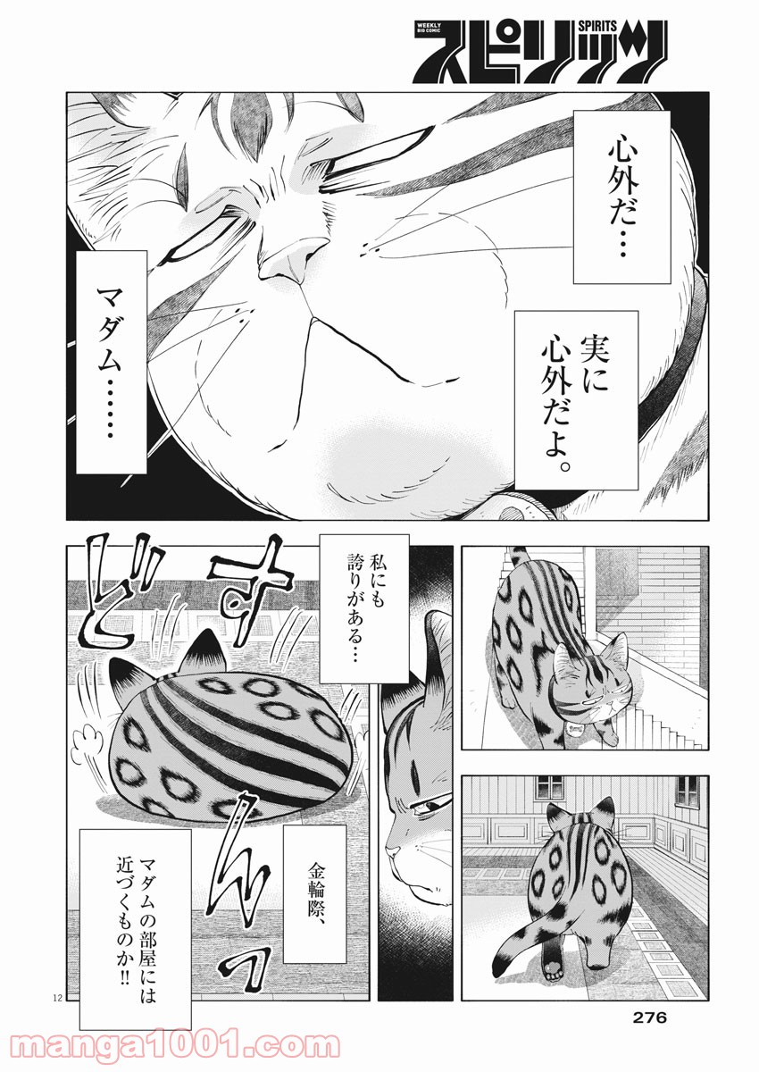 異世界猫と不機嫌な魔女 - 第3話 - Page 12