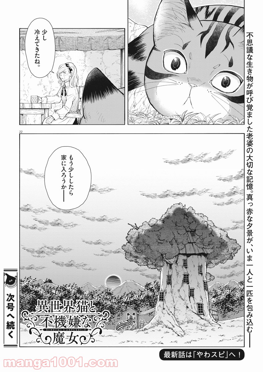 異世界猫と不機嫌な魔女 - 第4話 - Page 22