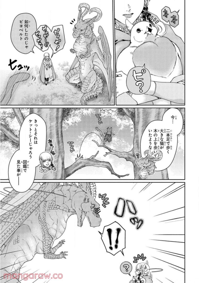 ドラゴン、家を買う。 - 第34話 - Page 15