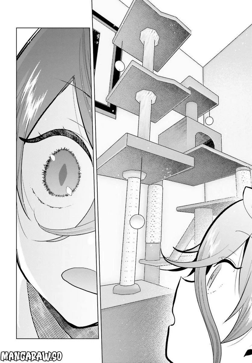 定時で帰ってネコを吸う 第11話 - Trang 12