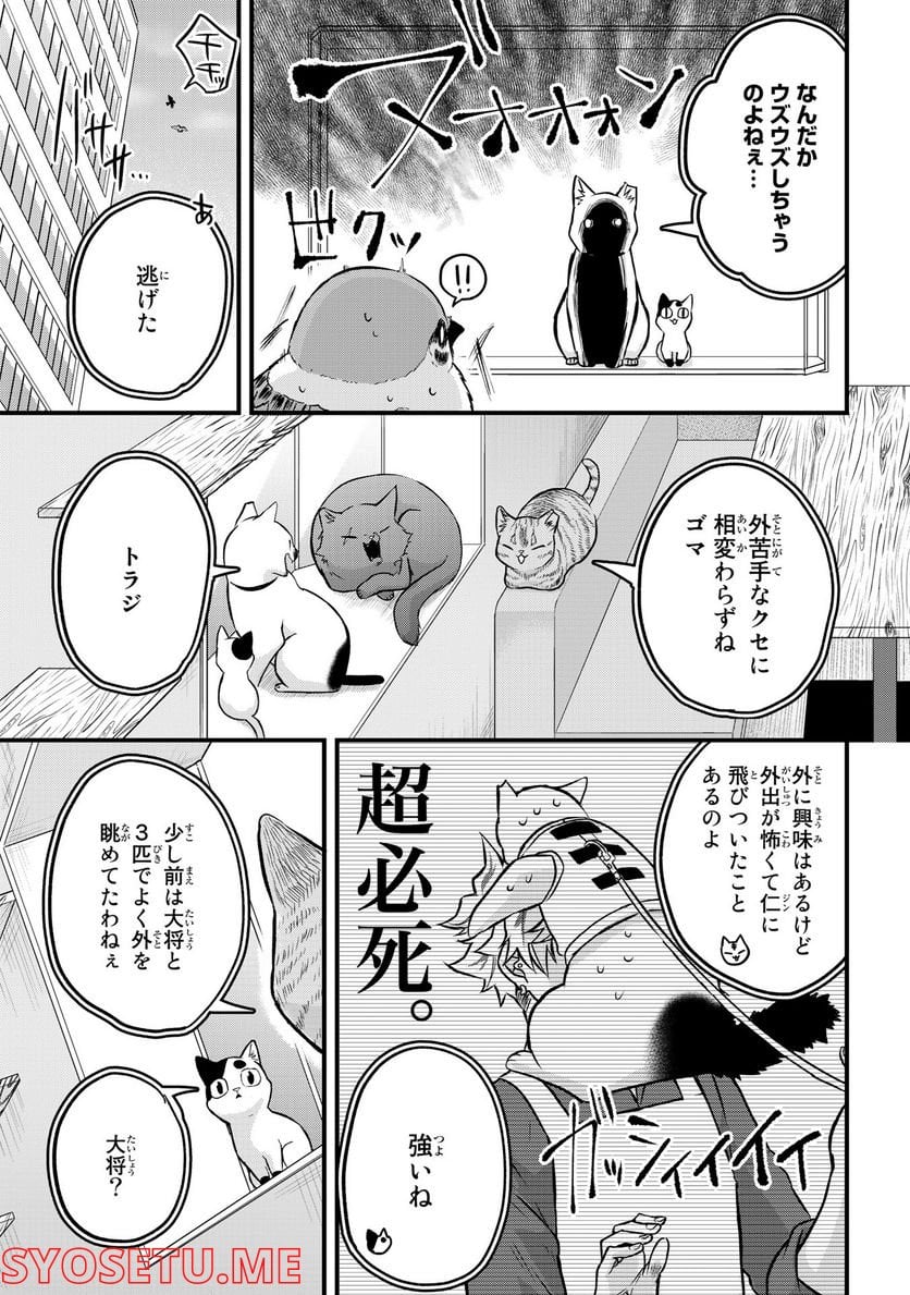 拾われ子猫と元ヤクザ - 第20話 - Page 3